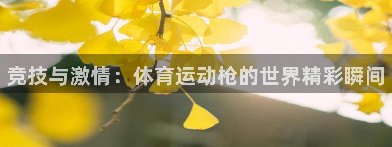 JJB竞技宝官方正版app集团官网网址:竞技与激情:体育运动