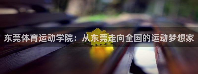 JJB竞技宝官网下载平台APP:东莞体育运动学院:从东莞走向