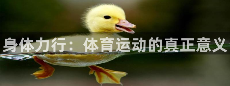 JJB竞技宝官网下载官方客服电话:身体力行:体育运动的真正意