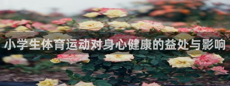 JJB竞技宝官方正版app娱乐40996:小学生体育运动对身